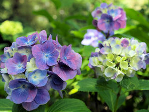 20100712_440shuusei.jpg