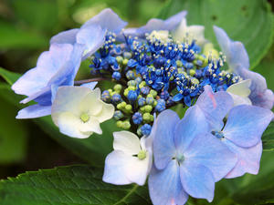 20100712_441shuusei.jpg