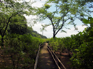 20100712_458shuusei.jpg