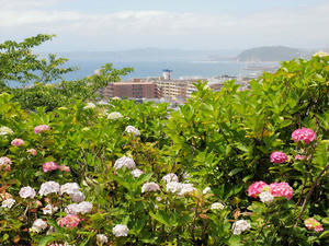20100712_452shuusei.jpg