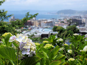 20100712_429shuusei.jpg