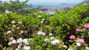 20100712_426shuusei.jpg