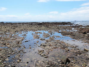 20100712_610shuusei.jpg