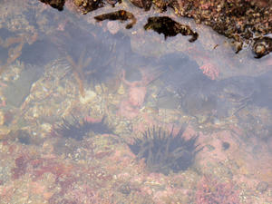 20100712_611shuusei.jpg