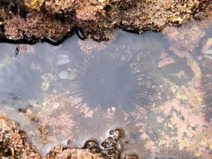 20100712_615shuusei.jpg