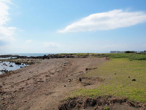 20100712_669shuusei.jpg