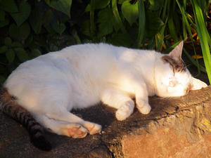 20100712_798shuusei.jpg