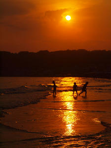 20100722_101shuusei.jpg