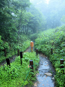 20100716_6shuusei.jpg