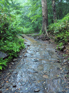 20100716_7shuusei.jpg