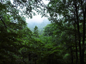 20100716_9shuusei.jpg