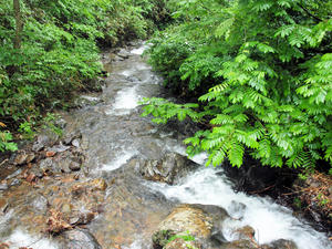 20100716_15shuusei.jpg