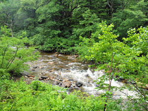 20100716_17shuusei.jpg