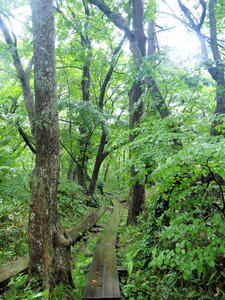 20100716_19shuusei.jpg
