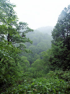 20100716_16shuusei.jpg