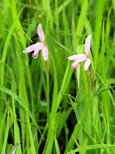 20100716_42shuusei.jpg