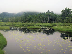 20100716_49shuusei.jpg