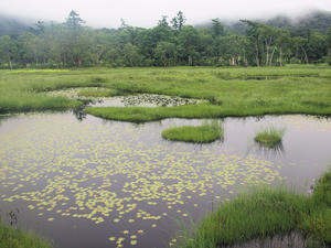 20100716_50shuusei.jpg
