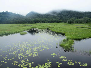 20100716_60shuusei.jpg