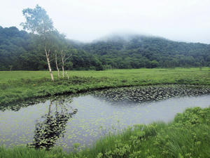 20100716_65shuusei.jpg