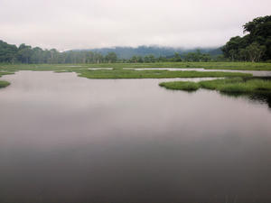 20100716_72shuusei.jpg