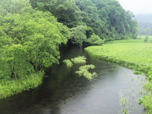 20100716_83shuusei.jpg