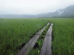 20100716_85shuusei.jpg