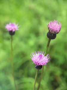 20100716_70shuusei.jpg