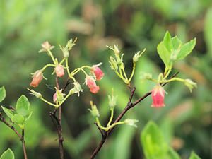20100716_74shuusei.jpg