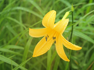 20100716_100shuusei.jpg