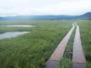 20100716_110shuusei.jpg