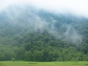20100716_111shuusei.jpg
