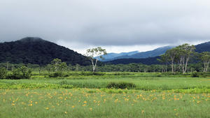 20100716_128shuusei.jpg