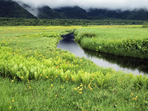 20100716_137shuusei.jpg