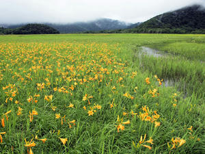 20100716_145shuusei.jpg