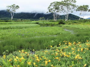 20100716_148shuusei.jpg