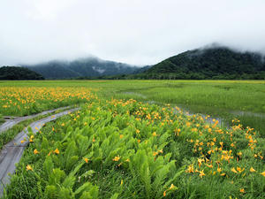 20100716_152shuusei.jpg