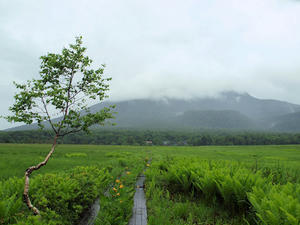 20100716_167shuusei.jpg