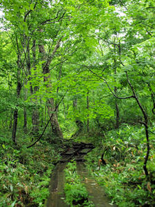 20100716_175shuusei.jpg