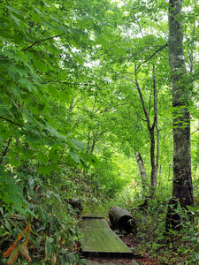 20100716_180shuusei.jpg