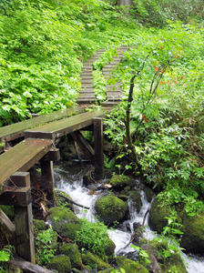 20100716_189shuusei.jpg
