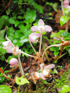 20100716_198shuusei.jpg