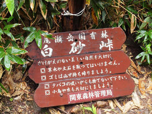 20100716_211shuusei.jpg