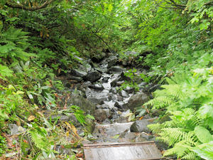 20100716_216shuusei.jpg