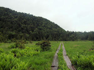 20100716_217shuusei.jpg