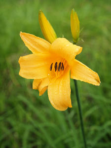 20100716_220shuusei.jpg