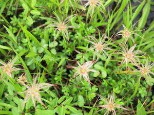 20100716_222shuusei.jpg