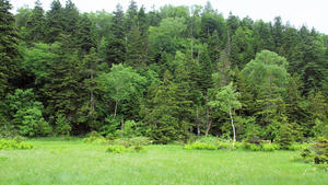20100716_227shuusei.jpg