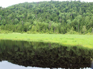 20100716_232shuusei.jpg