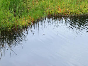 20100716_236shuusei.jpg